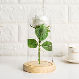 image-Preserved Flower Glass Cover - Rose Gold Foil