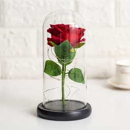 image-Preserved Flower Glass Cover - Rose Gold Foil