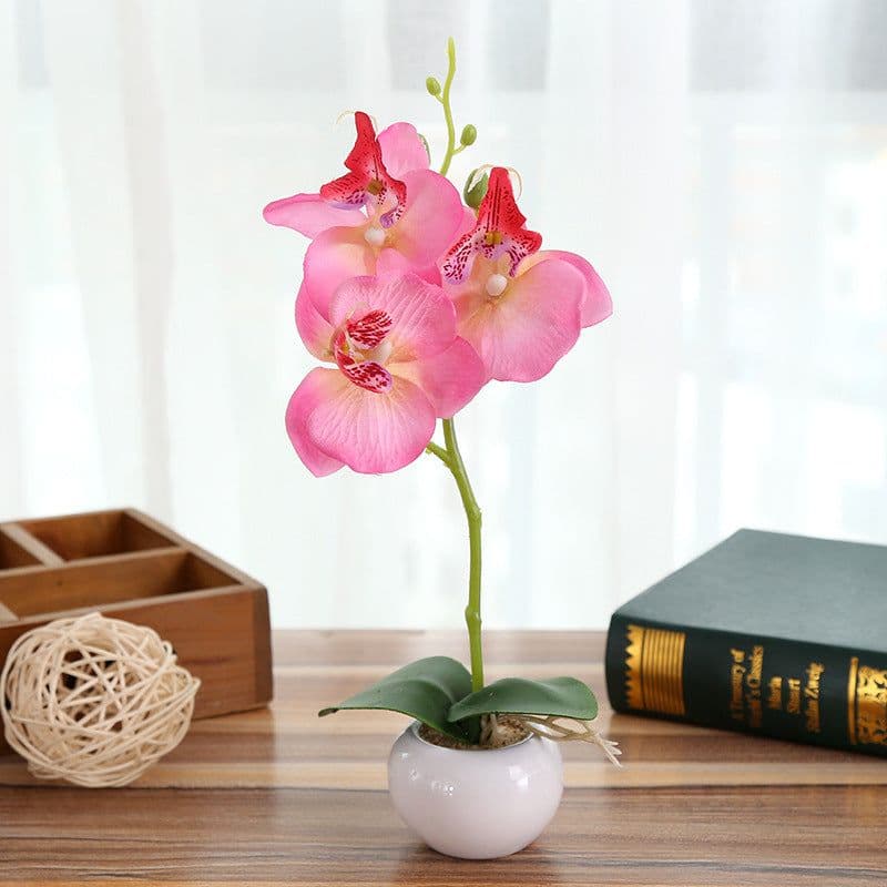 image-Artificial Flower Phalaenopsis in 3-Flower Pot - Green