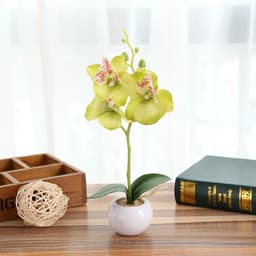 image-Artificial Flower Phalaenopsis in 3-Flower Pot - Green
