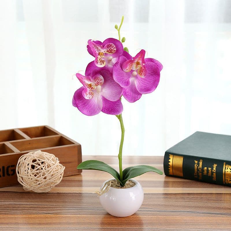 image-Artificial Flower Phalaenopsis in 3-Flower Pot - Green