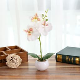 image-Artificial Flower Phalaenopsis in 3-Flower Pot - Green