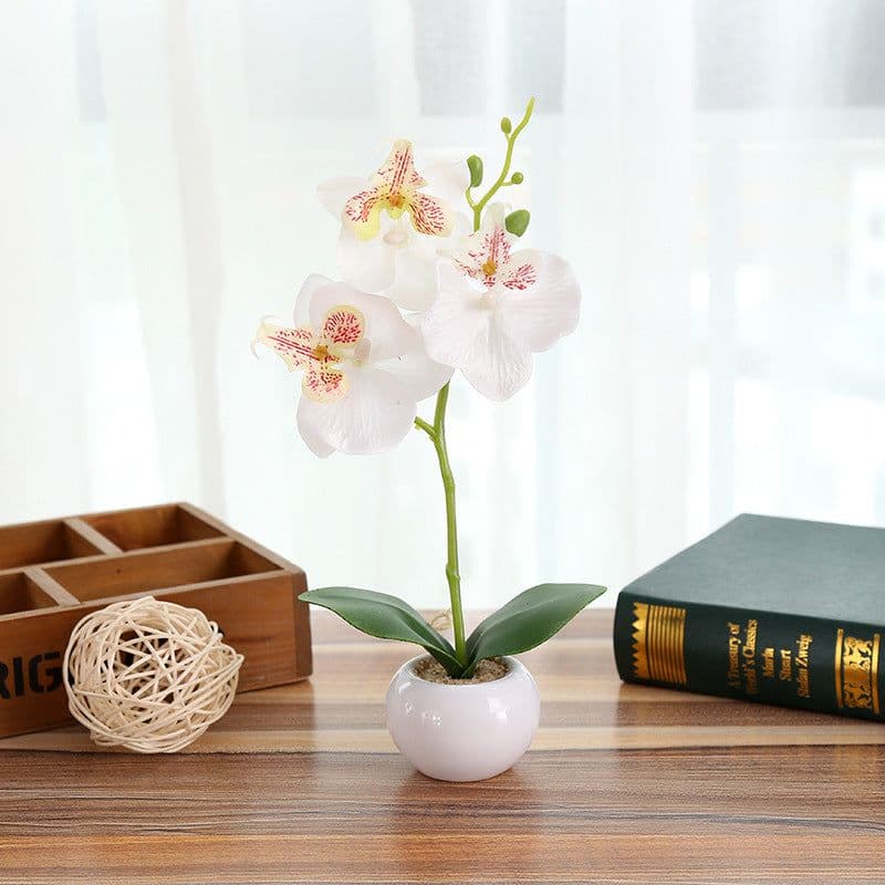 image-Artificial Flower Phalaenopsis in 3-Flower Pot - Green