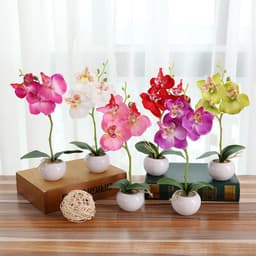 image-Artificial Flower Phalaenopsis in 3-Flower Pot - Green