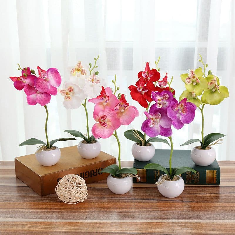 image-Artificial Flower Phalaenopsis in 3-Flower Pot - Green