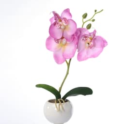 image-Artificial Flower Phalaenopsis in 3-Flower Pot - Green