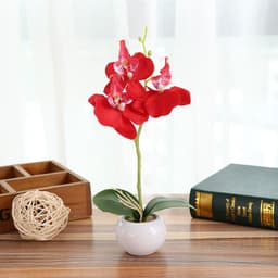 image-Artificial Flower Phalaenopsis in 3-Flower Pot - Green