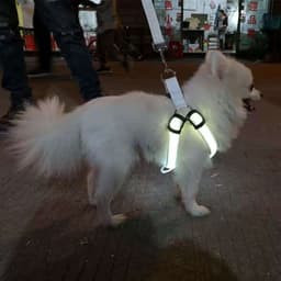 image-Amazon LED pet supplies LED luminous dog harness for medium and large dogs luminous dog aquarium lights led