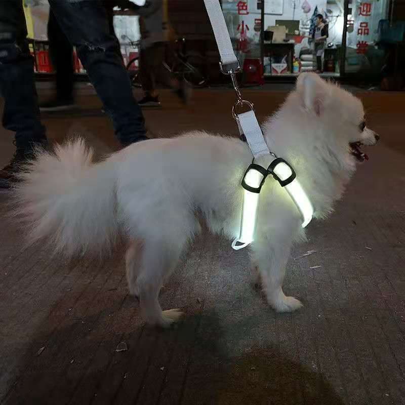 image-Amazon LED pet supplies LED luminous dog harness for medium and large dogs luminous dog aquarium lights led