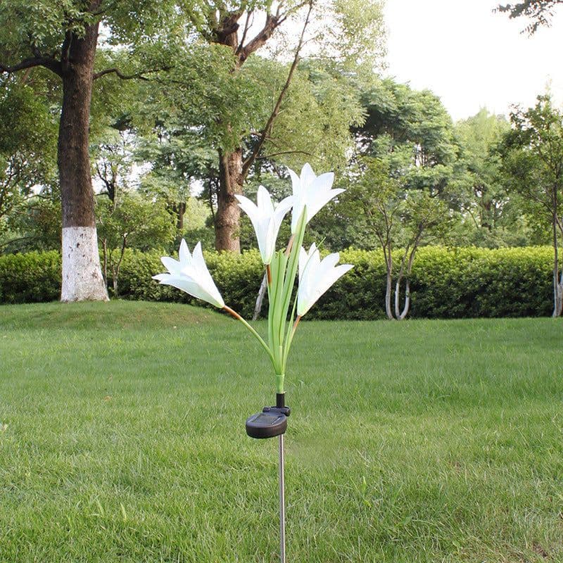 image-Outdoor Solar Lily Light LED Waterproof Garden Lawn Decor - IP65