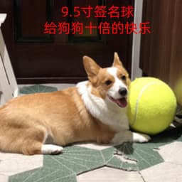 image-Star Signature Tennis Ball 9.5" Inflatable Toy