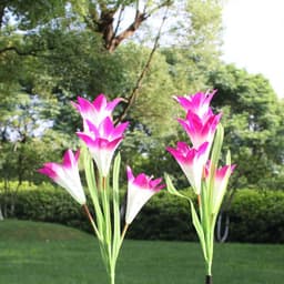 image-Outdoor Solar Lily Light LED Waterproof Garden Lawn Decor - IP65
