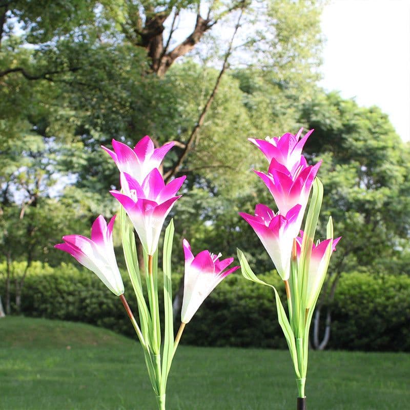 image-Outdoor Solar Lily Light LED Waterproof Garden Lawn Decor - IP65