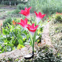 image-Outdoor Solar Lily Light LED Waterproof Garden Lawn Decor - IP65