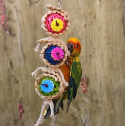 image-Parrot Supplies Pet Bird Toy Bite Toy Ran Vine Bal Twist String