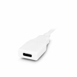 image-Cable USB C Urban Factory TCE01UF White