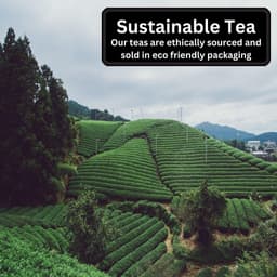 image-Wellness Loose Leaf Bundle