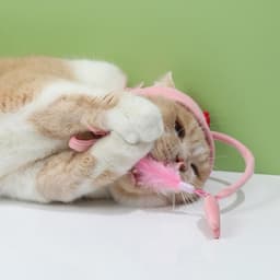image-New Head Wearing Feather Funny Cat Stick Funny Cat Toy Stick Gray Big Eye Pet Toys Pet Products