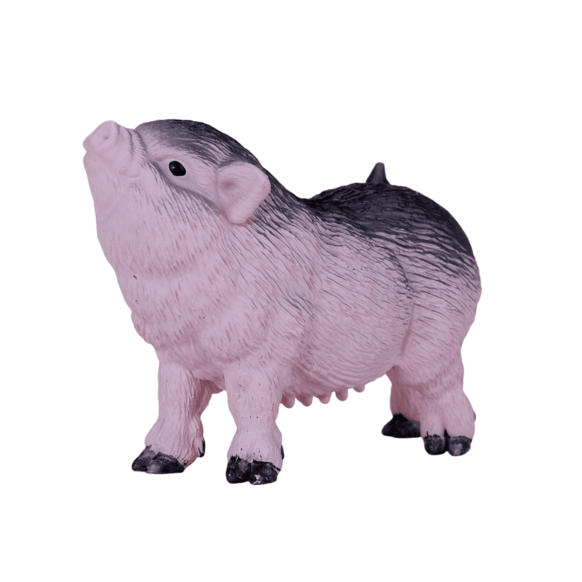 image-Pot-Bellied Piglet Toy Realistic Farm Animal Model