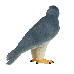 image-Peregrine Falcon Toy Realistic Bird of Prey Model