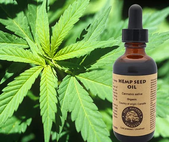 image-100% Pure Hemp Seed Oil (organic, cold pressed,