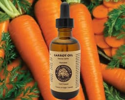 image-Carrot Oil (Macerated) for dry and mature skin.