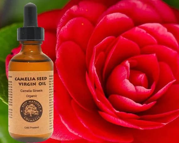 image-Camellia Seed Oil (Organic, Cold Pressed) for