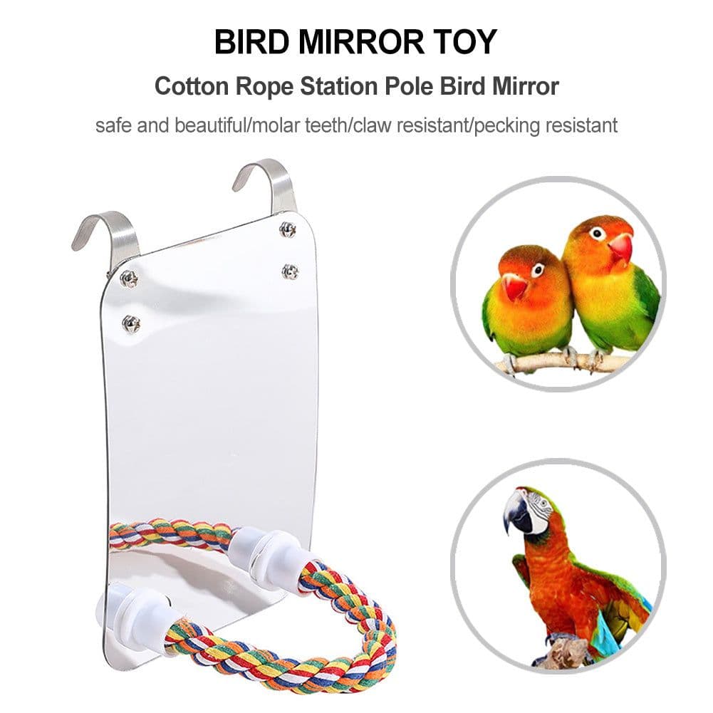 image-Parrot Toy Acrylic Bird With Mirror