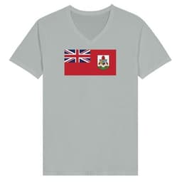 image-Drapeau des Bermudes - T-shirt unisexe premium col en V