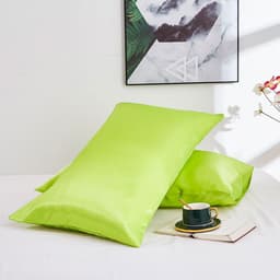 image-Silk double pillowcase