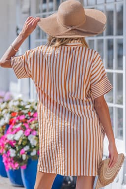 image-Brown Stripe Pinched V Neck Turn-up Cuffs Shift Mini Dress