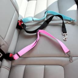 image-Dongguan factory wholesale pet car seat belt dog seat belt cats and dogs pet pull belt pet ordinary