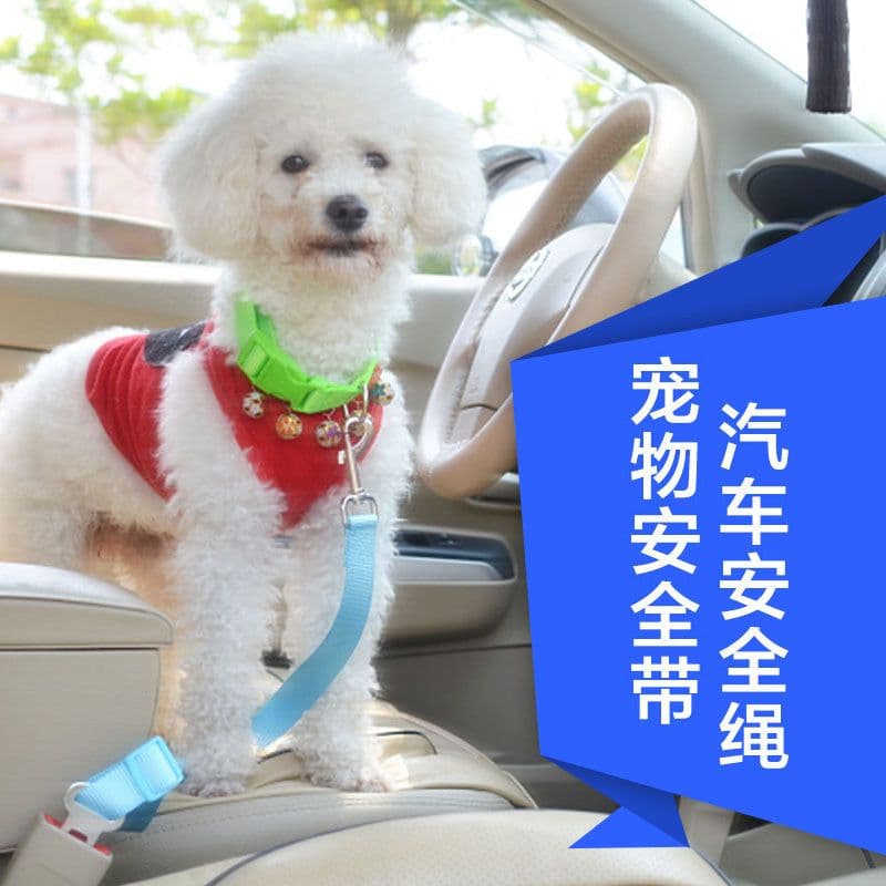 image-Dongguan factory wholesale pet car seat belt dog seat belt cats and dogs pet pull belt pet ordinary