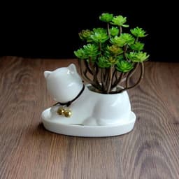 image-Creative personality ceramic animal small flower pot super Q pure white succulent plant potted cartoon cat shape