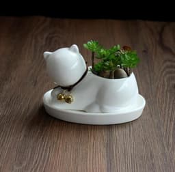 image-Creative personality ceramic animal small flower pot super Q pure white succulent plant potted cartoon cat shape
