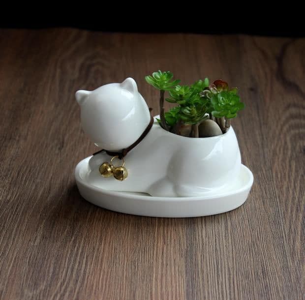 image-Creative personality ceramic animal small flower pot super Q pure white succulent plant potted cartoon cat shape