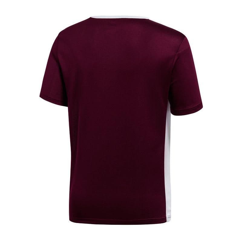 image-T-shirt adidas Entrada 18 Jr CE9564