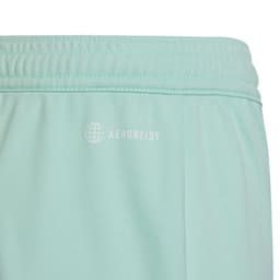 image-Adidas Entrada 22 Jr HC5058 shorts