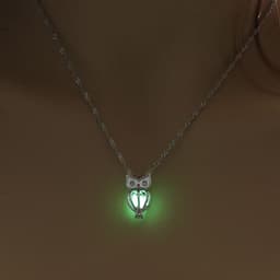 image-European and American creative new luminous owl necklace clavicle chain diy luminous cage accessories spot wholesale