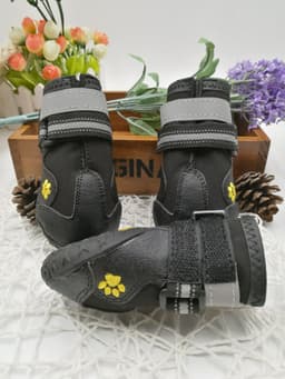 image-Pet shoes wear dog shoes