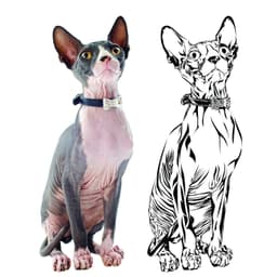 image-Custom Wall Decal Of Your Pet - Personalized Cat Lover Portrait Vinyl Sticker Gift Idea