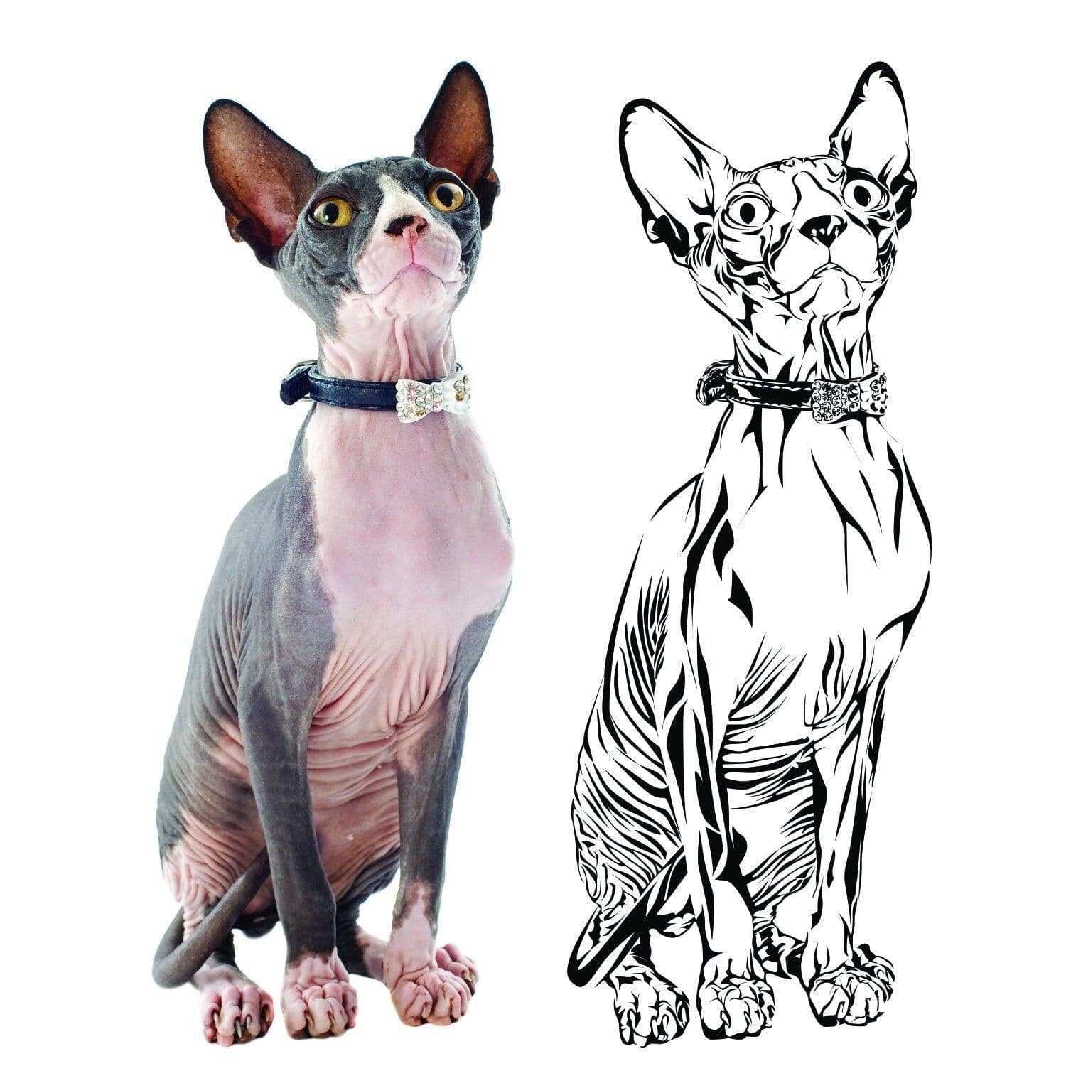 image-Custom Wall Decal Of Your Pet - Personalized Cat Lover Portrait Vinyl Sticker Gift Idea