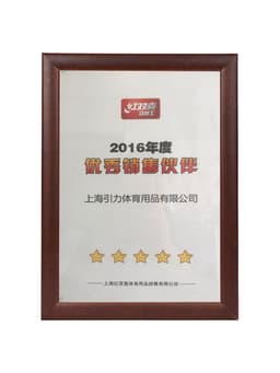 image-DHS 3-Star D40+ Table Tennis Balls (3 Star, New Material 3-Star Seamed ABS Balls) Plastic Poly Ping Pong Balls