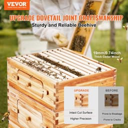 image-VEVOR Bee Hive 20 Frame Bee Hives Starter Kit, Beeswax Coated Fir Wood, 1 Deep + 1 Medium Bee Boxes Langstroth Beehive Kit, Transparent Acrylic Windows with Foundations for Beginners Pro Beekeepers