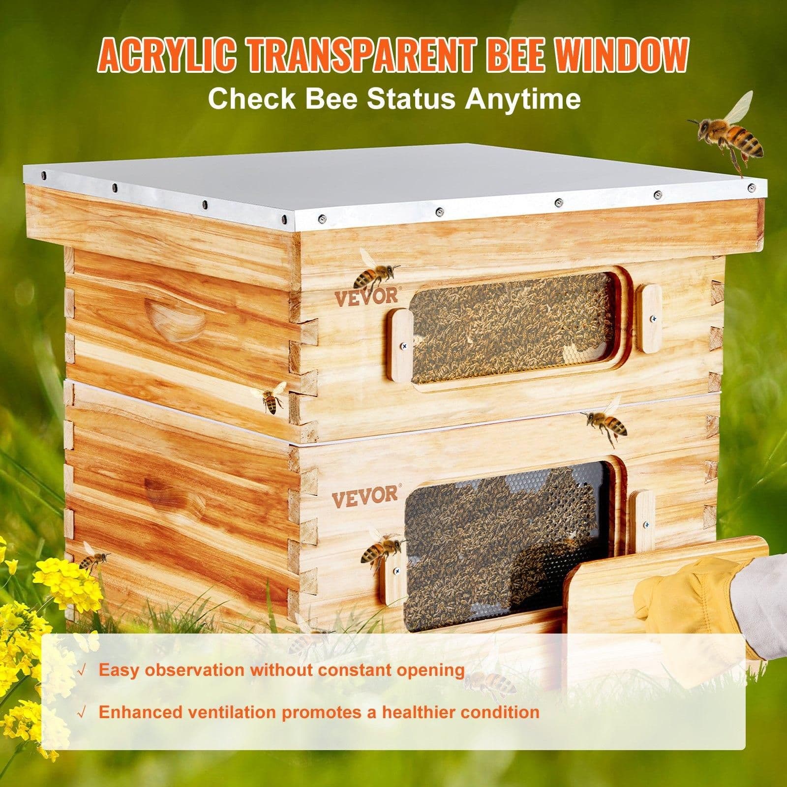 image-VEVOR Bee Hive 20 Frame Bee Hives Starter Kit, Beeswax Coated Fir Wood, 1 Deep + 1 Medium Bee Boxes Langstroth Beehive Kit, Transparent Acrylic Windows with Foundations for Beginners Pro Beekeepers