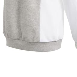 image-Adidas CB FT HD Jr sweatshirt IP0386