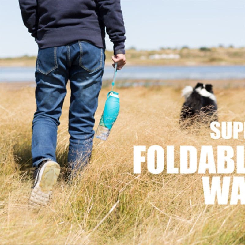 image-Pet dog accompanying cups out supplies outdoor feeding water drinker portable leaves kettle leaves water bottle