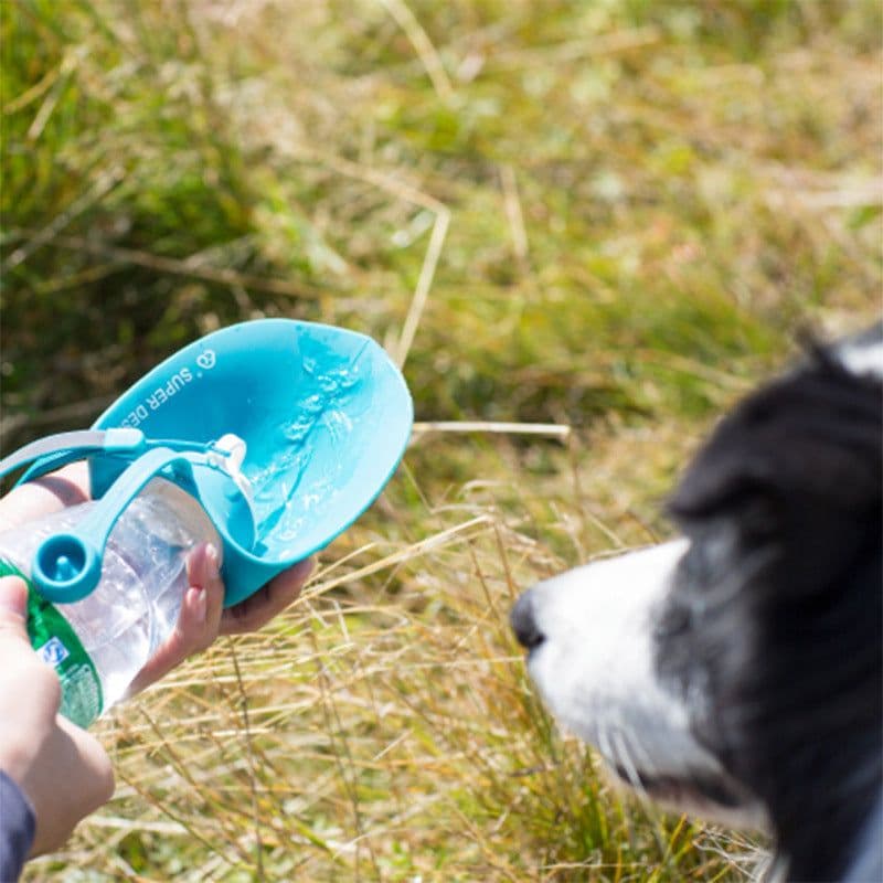 image-Pet dog accompanying cups out supplies outdoor feeding water drinker portable leaves kettle leaves water bottle