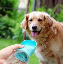 image-Pet supplies cups go out cups outdoor portable travel kettle teddy cat dog drinker care cup