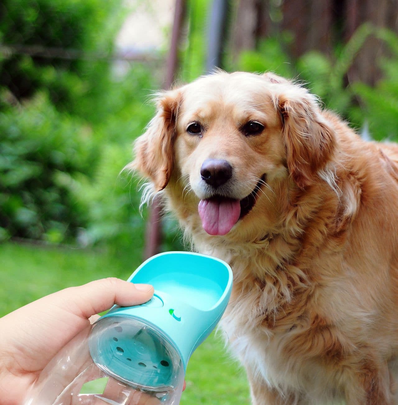 image-Pet supplies cups go out cups outdoor portable travel kettle teddy cat dog drinker care cup